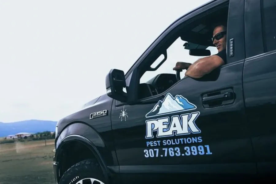 Peak