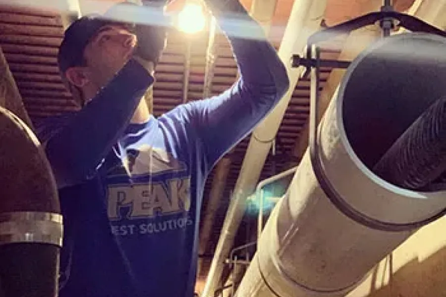 Peak Pest Solutions technicians perform inspections before their work